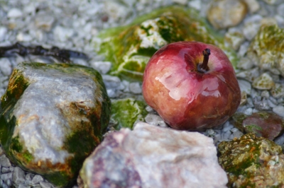 Der Apfel im Brunnen