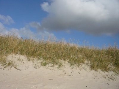 Strand auf Wyk auf Föhr