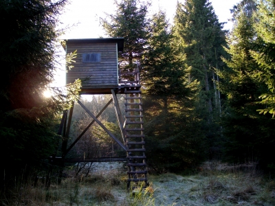 Hochstand im frostigen Herbst