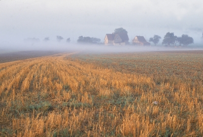 graue Nebel wallen