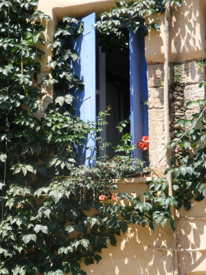 Blaues  Fenster  mit  Hibiskus
