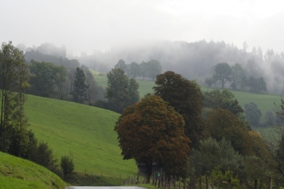 Herbststimmung