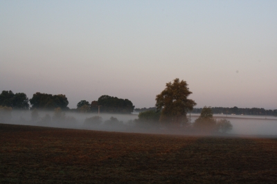 Morgennebel