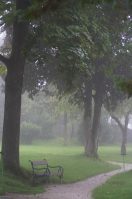 Herbst im Park