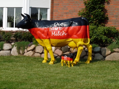 Deutsche Kühe