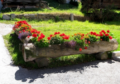 Blumenschmuck in Grächen