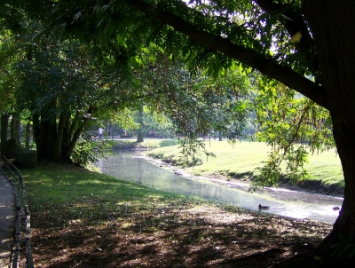 Herbst im Park