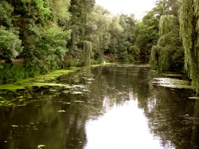 Teich im Park