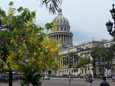 Frühling in Havanna