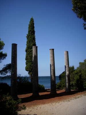 Säulen und Zypressen