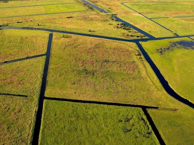 sumpfiges Ackerland - Luftbild