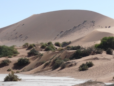 Dünen von Sossusvlei/Namibia