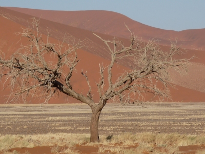 Sossusvlei/Namibia