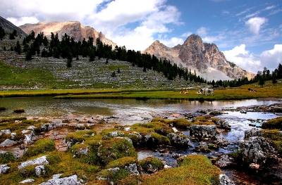 dolomiten parlament der murmeltiere