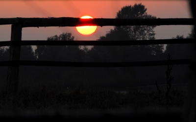 Sonnenuntergang hinterm Zaun