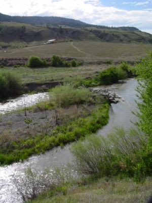 Treibholz, gesehen nähe Cache Creek in British Columbia