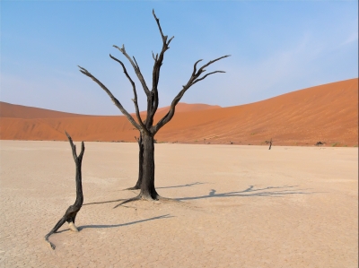 Namibia - Deadvlei