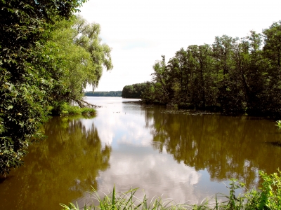 Alt-Stahnsdorfer See