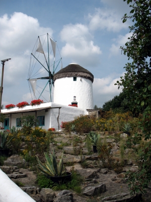 Gifhorn Mühlenmuseum Windmühle seitlich