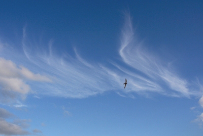 Wolkenformation