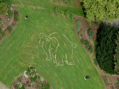 Wie kommt der Elefant in den Park?