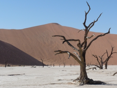 Dead Vlei/Namibia