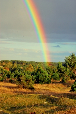 Regenbogen