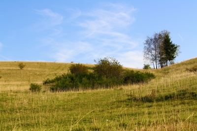 Felder und Hügel 2