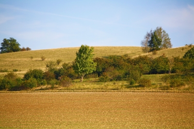 Felder und Hügel 3