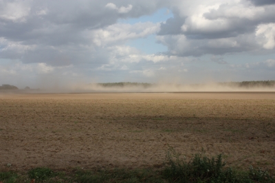 Sandsturm auf abgeerntetem Feld