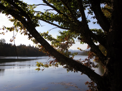 Herbst am Fluss