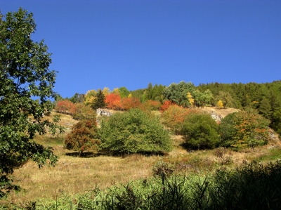 Herbstbeginn im Berggebiet