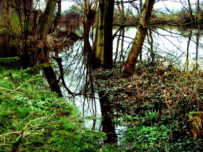 Hochwasser