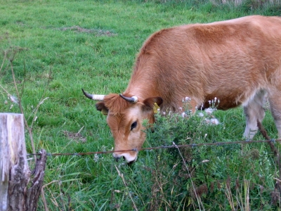 Mahlzeit ...