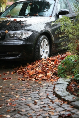 Das Auto im Herbst