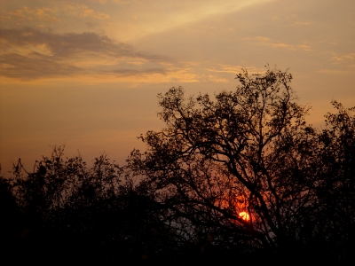 Afrika - Sonnenaufgang