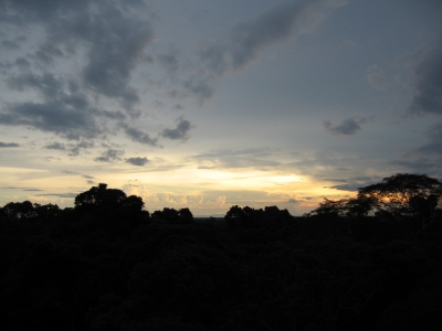 Amazonas - Sonnenuntergang