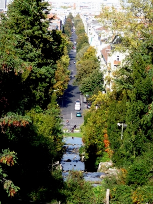 Blick vom Kreuzberg auf die Großbeerenstraße