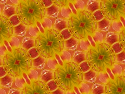 Blütenkaleidoskop 2