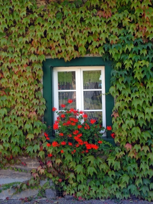 Bauernhausfenster #2