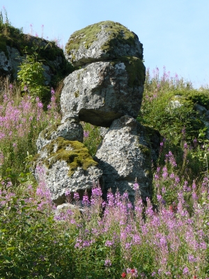 Steine auf der Dalherdaer Kuppe