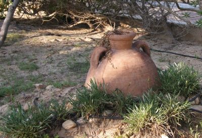 Gartenanlage in Djerba