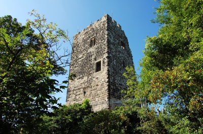 Burgruine Drachenfels #2