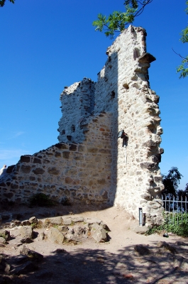 Burgruine Drachenfels #3