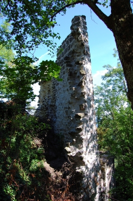 Burgruine Drachenfels #4