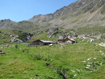 Südtirol - Panauder Alm