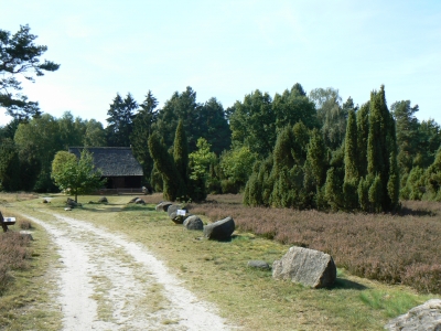 Lüneburger Heide: auf dem  Wietzer Berg bei Müden (Örtze)
