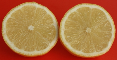Zitronenhälften auf ROT