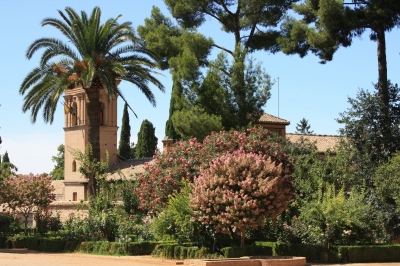 Alhambra im Sommer 5