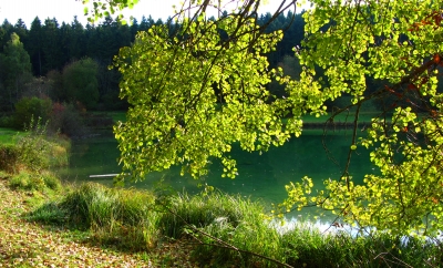 Herbstfarben am See